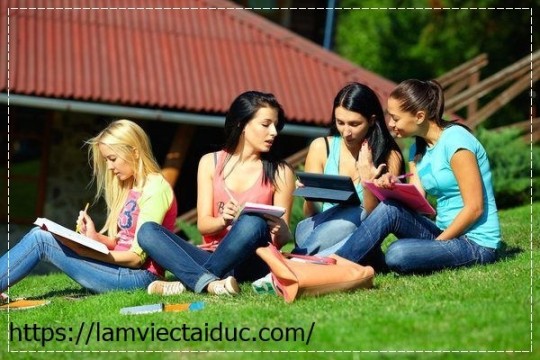 Câu gián tiếp trong tiếng Đức dùng để hỏi